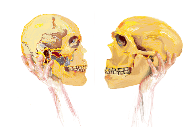 Human project by Cedric boeckx